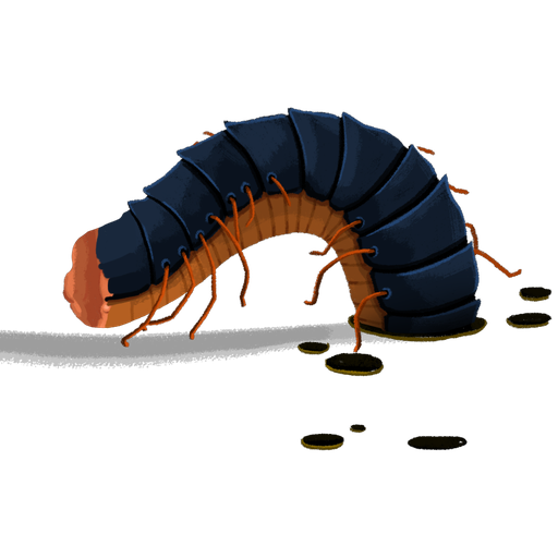 Decimillipede Segment (Back)