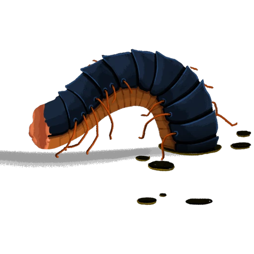 Decimillipede Segment (Back)