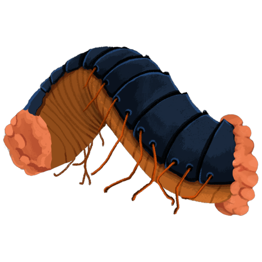 Decimillipede Segment (Front)