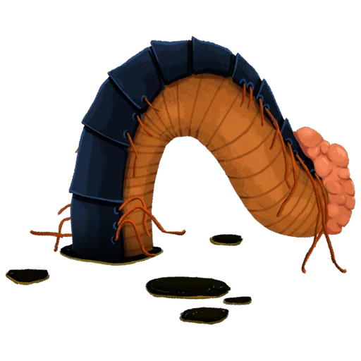Decimillipede Segment (Middle)