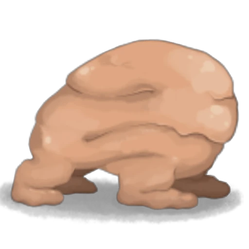 파엘의 군체