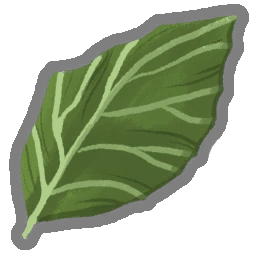 새로운 잎