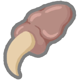 파엘의 발톱