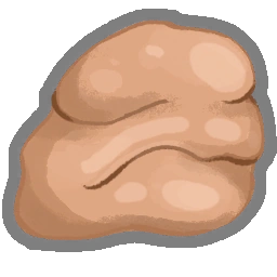 파엘의 군체
